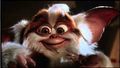Gismo_74