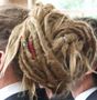 dreadhead